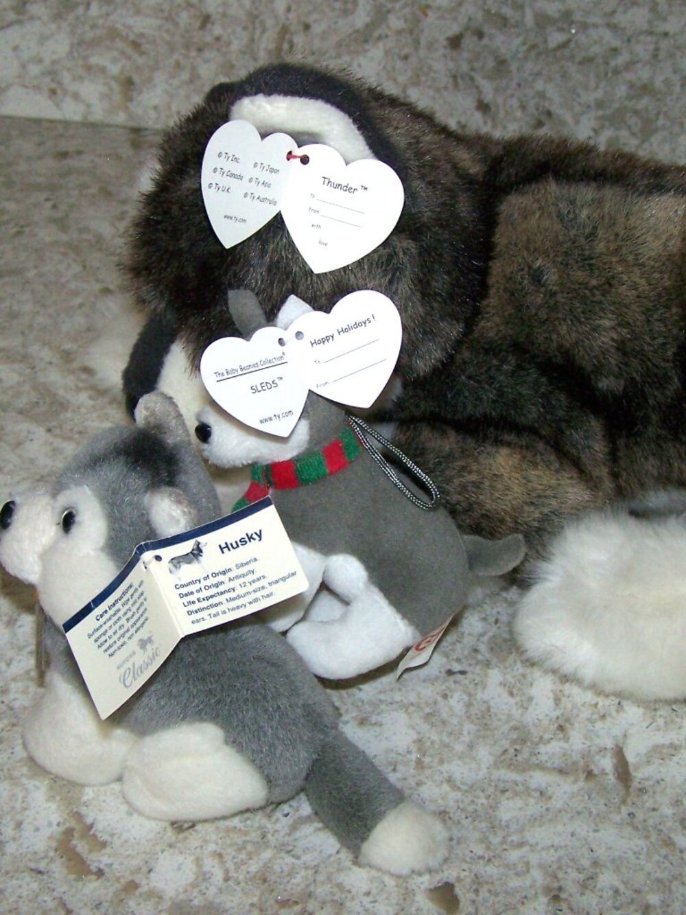 TY Classic Thunder Husky Plush Wolf Toy Beanie Babies - Picture 2 of 6